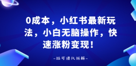 0成本，小红书最新玩法，小白无脑操作，快速涨粉变现-超级会员网