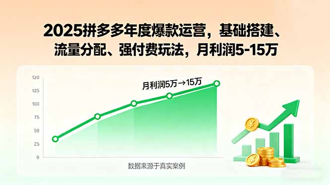 2025拼多多年度爆款运营，基础搭建、流量分配、强付费玩法，月利润5-15万-超级会员网