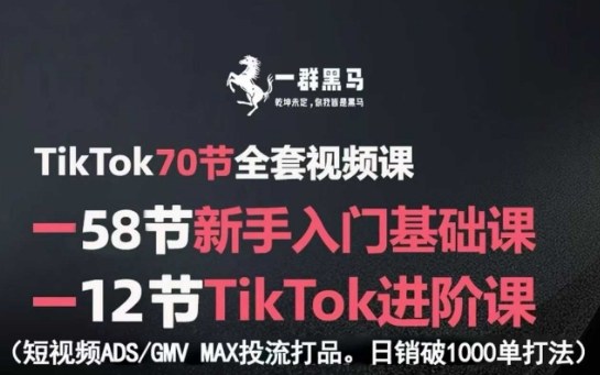 TikTok全套视频课，新手入门+进阶课，短视频ADS-GMV MAX投流打品，日销破1000单打法-超级会员网