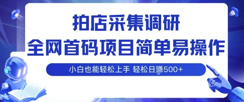 拍店采集调研，全网首码项目，简单易操作， 小白也能轻松上手，多账号操作，轻松日入5张【揭秘】-超级会员网