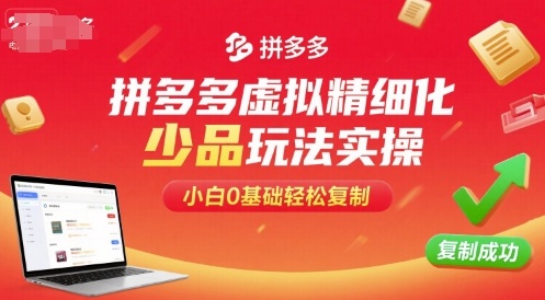 拼多多虚拟精细化少品玩法实操，小白0基础轻松复制-超级会员网