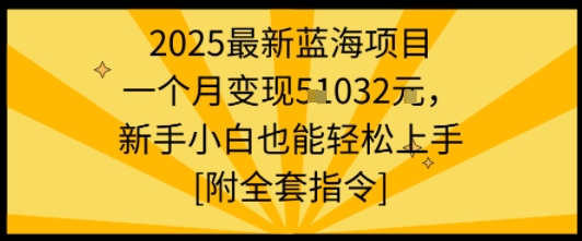 2025最新蓝海项目一个月变现1w+新手小白也能轻松上手【附全套指令】-超级会员网
