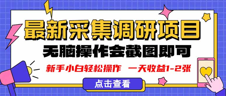 新版采集调研项目，截图上传即可，无脑操作，日收益1-2张-超级会员网
