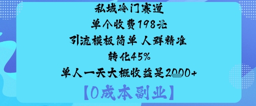 私域冷门赛道:单个收费198米引流模板简单人群精准转化45%单人一天大概收益是1k+-超级会员网