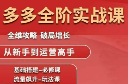 大炮·拼多多全阶实战课程(更新10月)-超级会员网