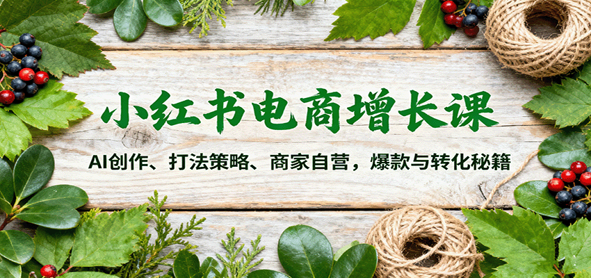 小红书电商增长课：AI创作、打法策略、商家自营，爆款与转化秘籍-超级会员网