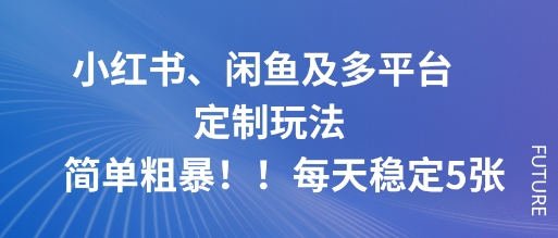 小红书、闲鱼及多平台定制玩法简单粗暴！每天稳定5张-超级会员网