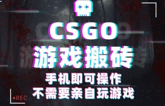 CSGO游戏挂G捡漏，单日扫货5张+，年底小高峰上车可吃肉，手机即可操作，兼职副业创业网创【揭秘】-超级会员网