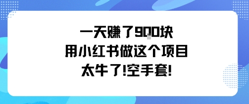 一天挣了9张用小红书做这个项目太牛了，空手套-超级会员网
