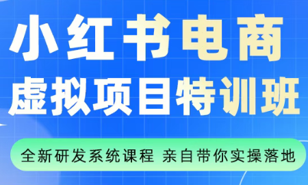 陆明明·小红书虚拟项目特训班(更新9月)-超级会员网