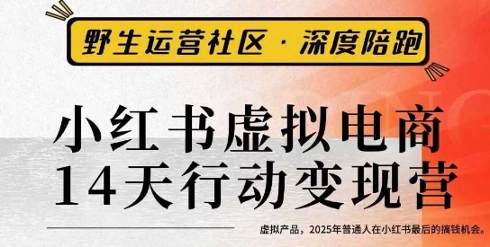 小红书虚拟电商14天变现训练营3.0，​虚拟产品，2025年普通人在小红书最后的搞钱机会-超级会员网