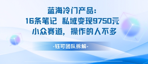 蓝海项目：16条笔记私域变现9750米小众赛道操作的人不多-超级会员网