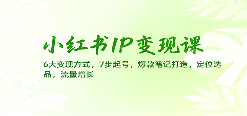 小红书IP变现课：6大变现方式，7步起号，爆款笔记打造，定位选品，流量增长-超级会员网