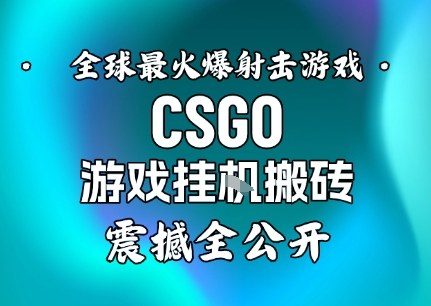 【年底大揭秘】基于全球最火爆的射击CSGO游戏挂G搬砖，日入5张+，震撼公开-超级会员网