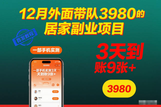 12月外面带队3980的居家副业项目，一部手机实测3天到账9张+，首发教程【揭秘】-超级会员网