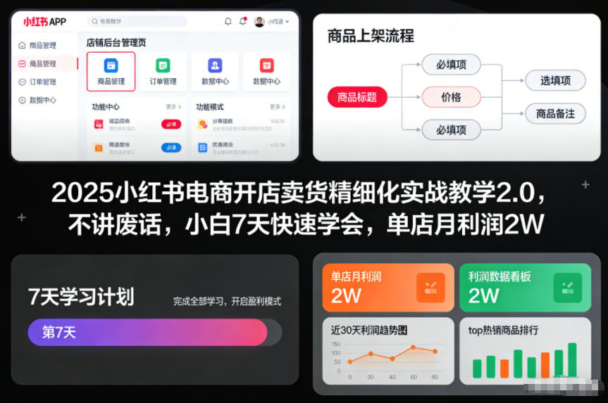 2025小红书电商开店卖货精细化实战教学2.0，不讲废话，小白7天快速学会，单店月利润2W-超级会员网