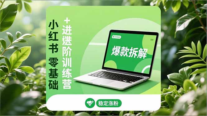小红书零基础+高阶训练营：安全养号、爆款拆解、长效运营，实现稳定涨粉与变现-超级会员网