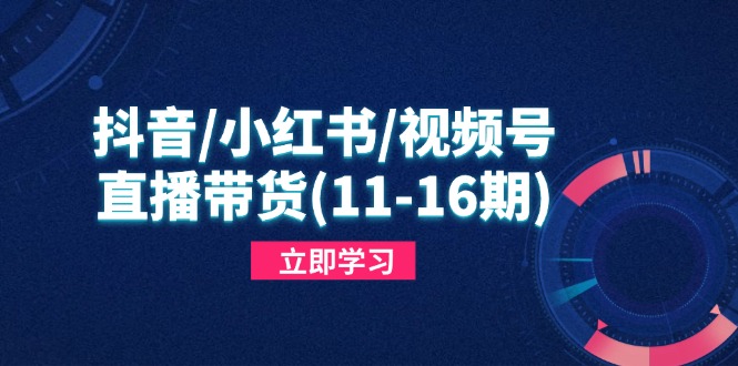 抖音/小红书/视频号/直播带货(11-16期)，快速掌握平台规则，打造爆款内容-超级会员网