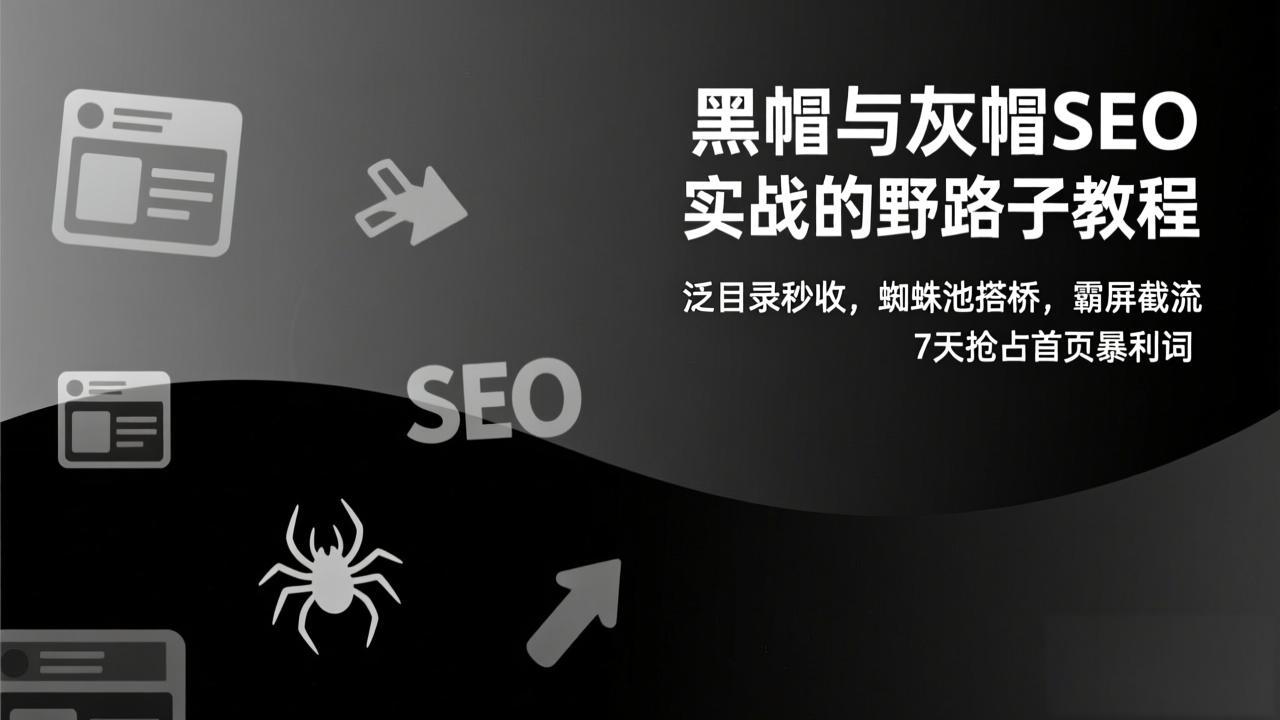 黑帽与灰帽SEO实战的野路子教程：泛目录秒收，蜘蛛池搭桥，霸屏截流，7天抢占首页暴利词-超级会员网