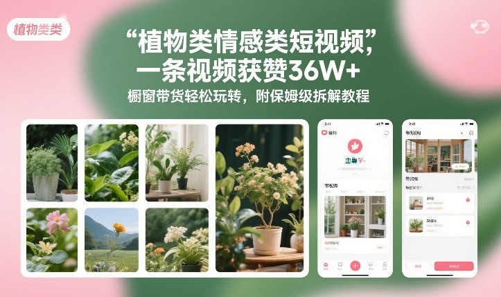 植物类情感类短视频，一条视频获赞36W+，橱窗带货轻松玩转，附保姆级拆解教程-超级会员网