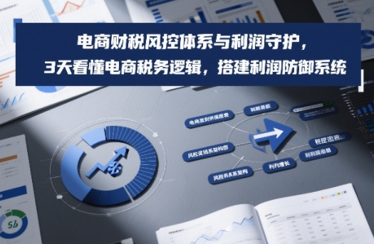 电商财税风控体系与利润守护，3天看懂电商税务逻辑，搭建利润防御系统-超级会员网