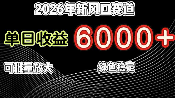 2026年新风口赛道，当日6000+以上，可批量放大，月收入20万+，长期绿色稳定的项目-超级会员网