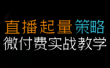 半野老师·直播带货起量与微付费必学课视频号(更新2026)-超级会员网
