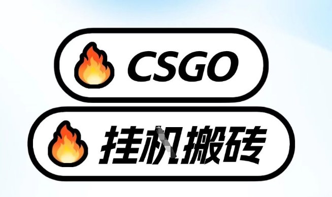 真全网独家CSGO挂G，最新玩法,单日捡漏1K+，不用电脑，不用打游戏【揭秘】-超级会员网