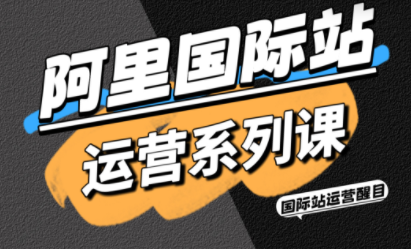 醒目老师·阿里国际站运营系列课(更新3月)-超级会员网