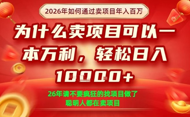 一单净利润1K+，26年想年入100个W，死磕卖项目就够了【揭秘】-超级会员网