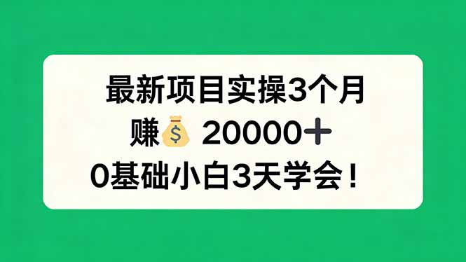 最新项目实操3个月，赚钱20000+，0基础小白3天学会！-超级会员网