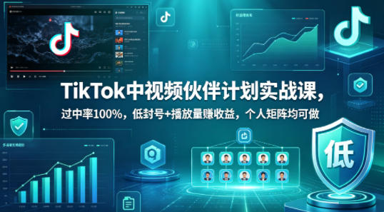 TikTok中视频伙伴计划实战课，过中率100%，低封号+播放量賺收益，个人矩阵均可做-超级会员网