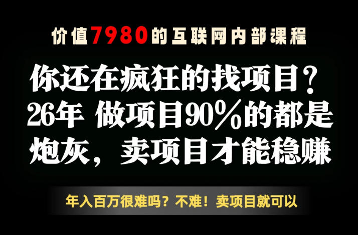 26年请不要疯狂的找项目了,卖项目远比你想象的暴利,你也可以月入10W+【揭秘】-超级会员网