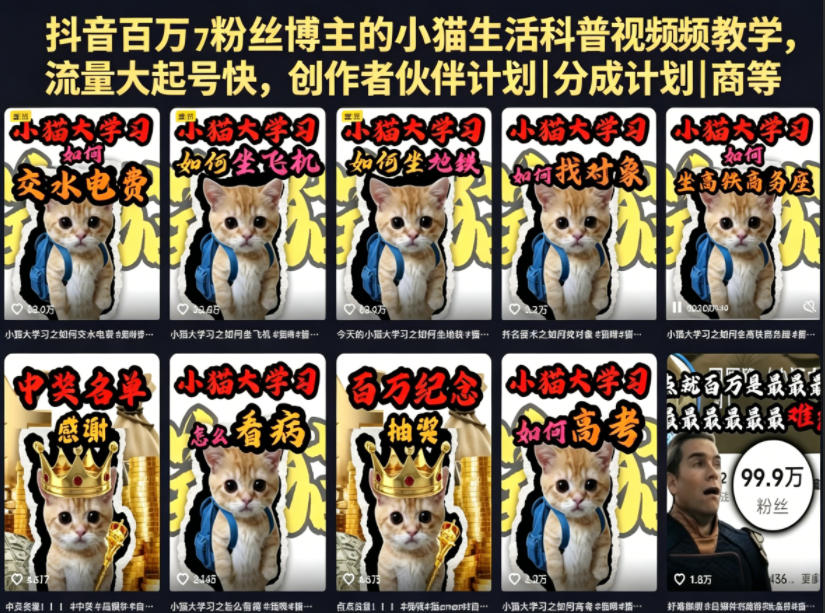 抖音百万粉丝博主的小猫生活科普视频教学，流量大起号快，创作者伙伴计划|分成计划|商单|收徒等-超级会员网