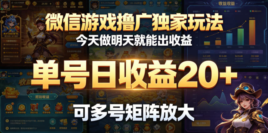 微信游戏撸广独家玩法，今天做明天就能出收益，单号日收益20+，可多号矩阵放大-超级会员网