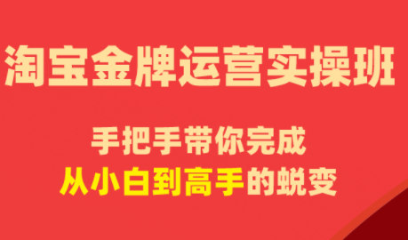 飓风电商·淘宝金牌运营实操班-超级会员网