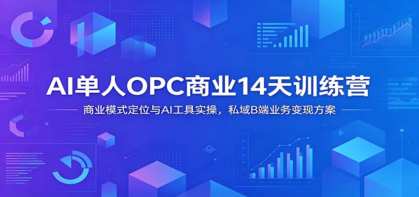 AI单人OPC商业14天训练营：商业模式定位与AI工具实操，私域B端业务变现方案-超级会员网
