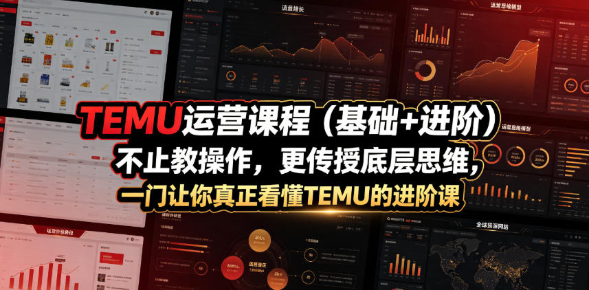 TEMU运营课程(基础+进阶)，不止教操作，更传授底层思维，一门让你真正看懂TEMU的进阶课-超级会员网