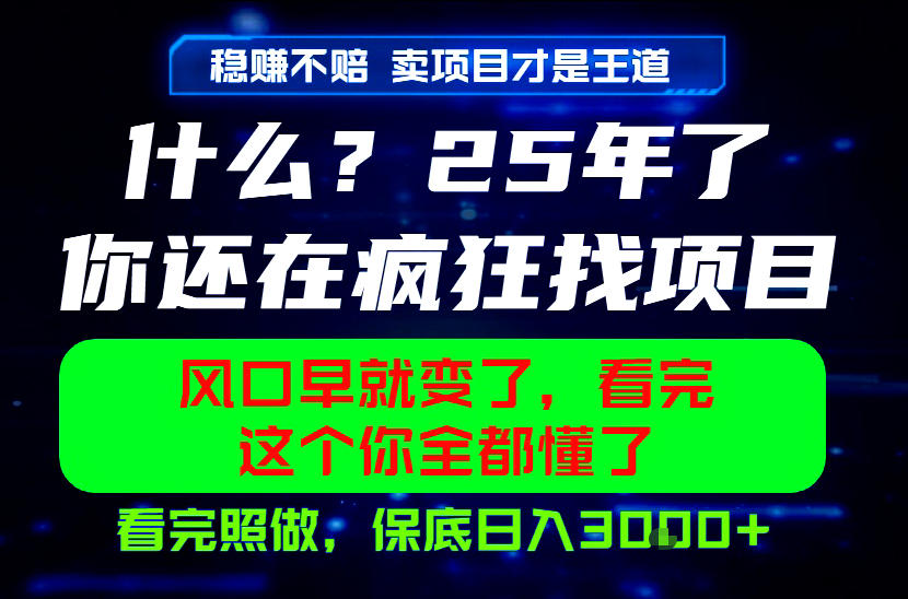 26年，请不要疯狂的找项目做了！卖项目才是真的稳賺不赔，看完照做，保底日入1k+【揭秘】-超级会员网