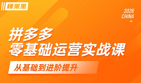 仙道电商·拼多多零基础运营实战课-超级会员网