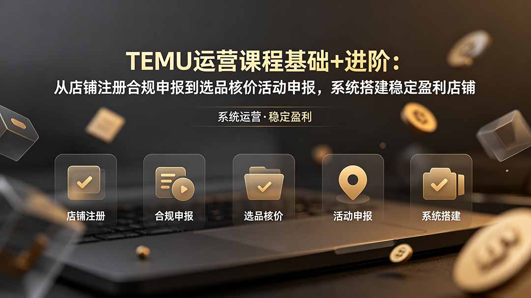 TEMU运营课程(基础+进阶-超级会员网