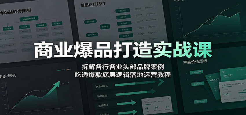 商业爆品打造实战课：拆解各行各业头部品牌案例，吃透爆款底层逻辑落地运营教程-超级会员网