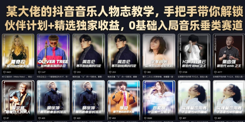 某大佬的抖音音乐人物志教学，手把手带你解锁伙伴计划+精选独家收益，0基础入局音乐垂类赛道-超级会员网