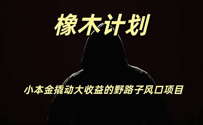 橡木计划，小投入撬动高回报的风口野路子项目，一天投入2小时左右-超级会员网