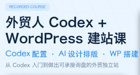 大卫·外贸人Codex + WordPress建站课(更新8月)-超级会员网