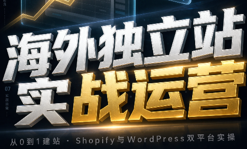 海外独立站实战运营-超级会员网