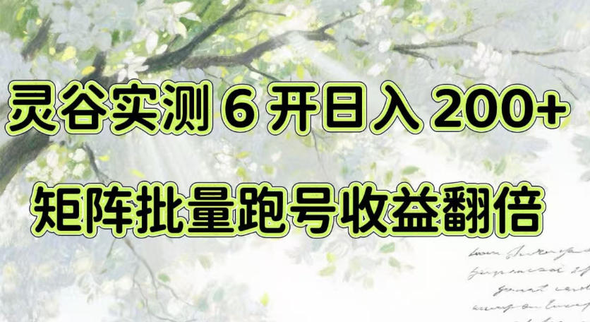 一台电脑就能做！灵谷实测6开日入200+，矩阵批量跑号收益翻倍【揭秘】-超级会员网