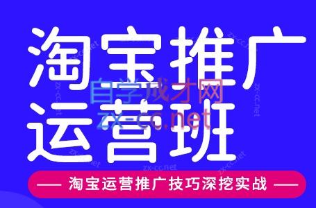 美迪电商·淘宝高级运营班+推广运营班(更新9月)-超级会员网