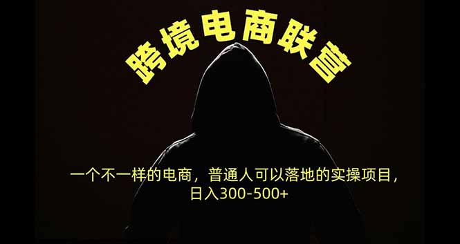 跨境电商联营，一个不一样的电商，普通人可操作日入300-500+-超级会员网