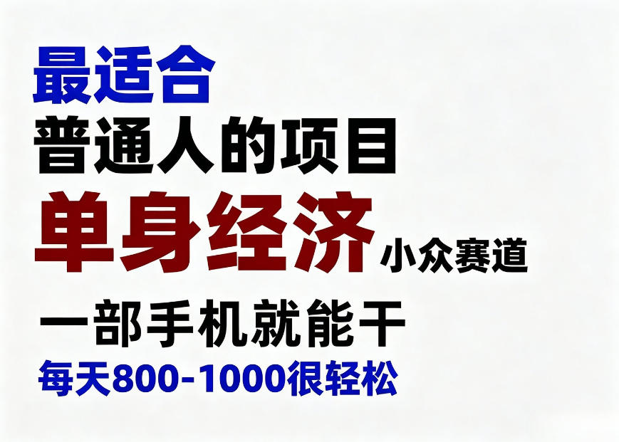 身经济小众赛道，一部手机就能干，每天搞个800-1000很轻松，最适合普通人的项目【揭秘】-超级会员网